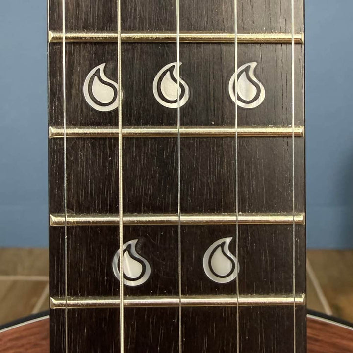 The Scott Avett "Truth" Signature Banjo Deering 5 String Banjos