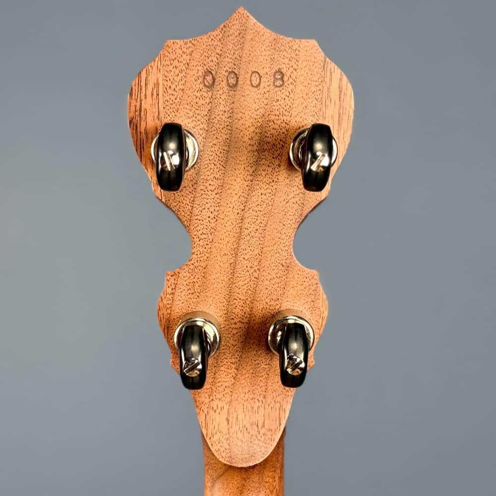 The Scott Avett "Truth" Signature Banjo Deering 5 String Banjos