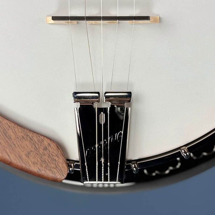 The Scott Avett "Truth" Signature Banjo Deering 5 String Banjos
