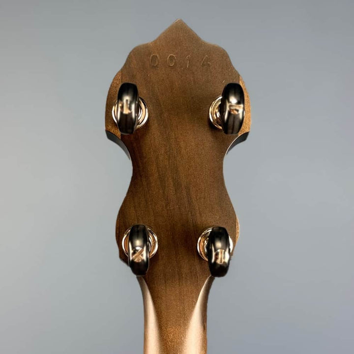 The Vega Avett Star Signature Banjo Deering 5 String Banjos
