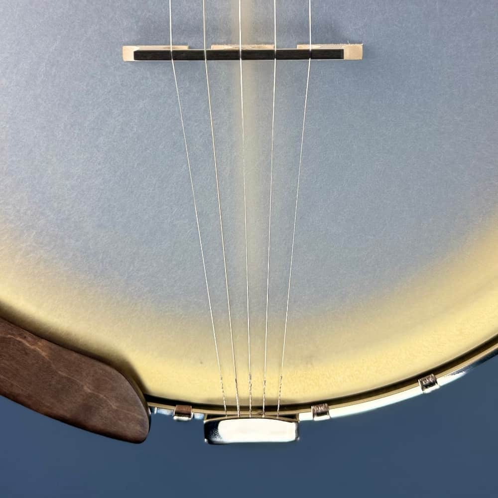 The Vega Avett Star Signature Banjo Deering 5 String Banjos