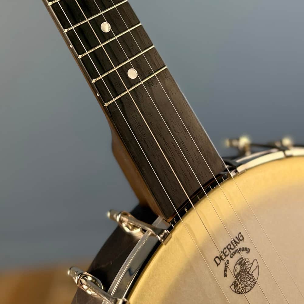 The Vega Avett Star Signature Banjo Deering 5 String Banjos