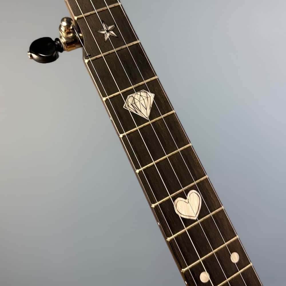 The Vega Avett Star Signature Banjo Deering 5 String Banjos