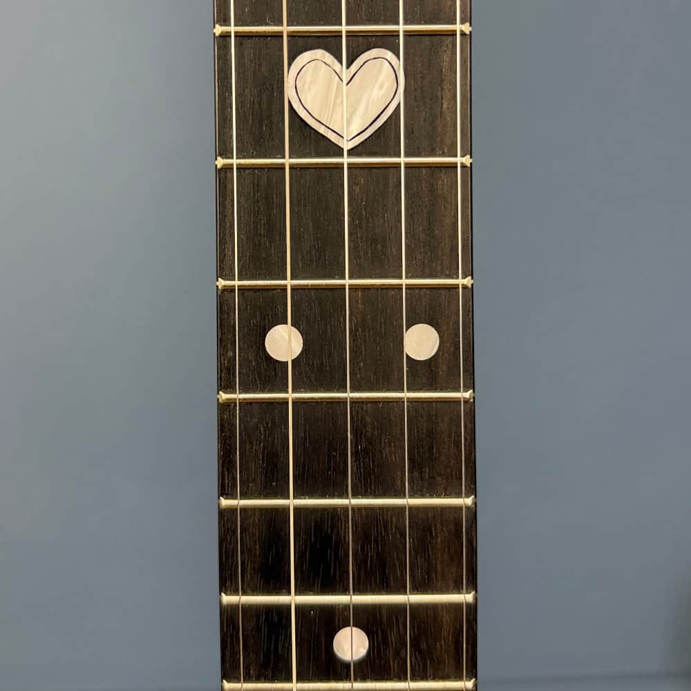 The Vega Avett Star Signature Banjo Deering 5 String Banjos