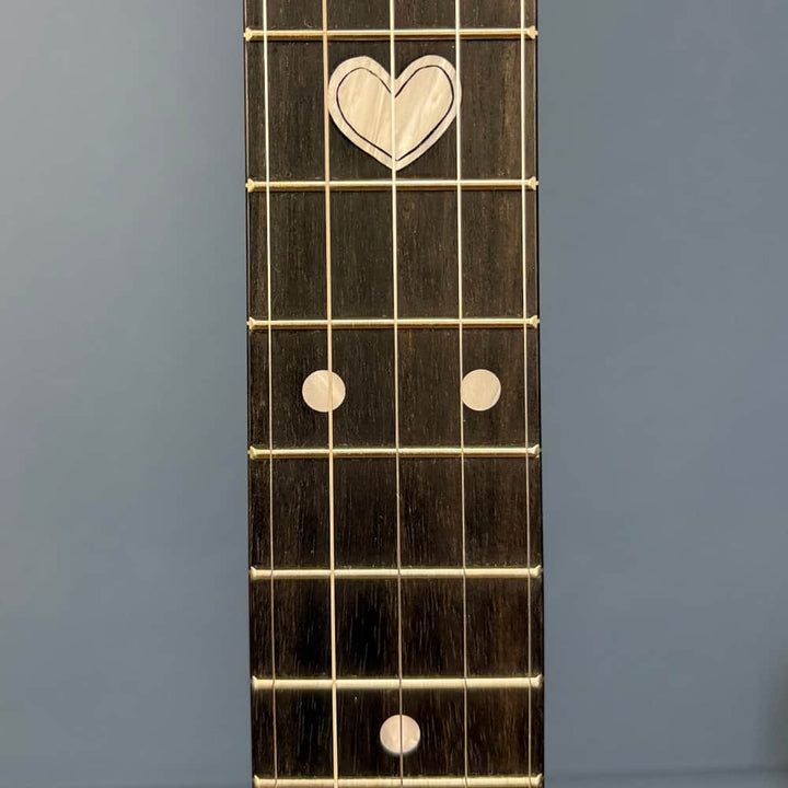The Vega Avett Star Signature Banjo Deering 5 String Banjos
