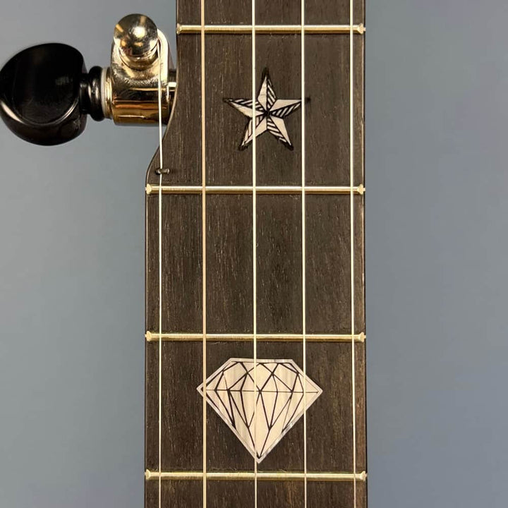 The Vega Avett Star Signature Banjo Deering 5 String Banjos