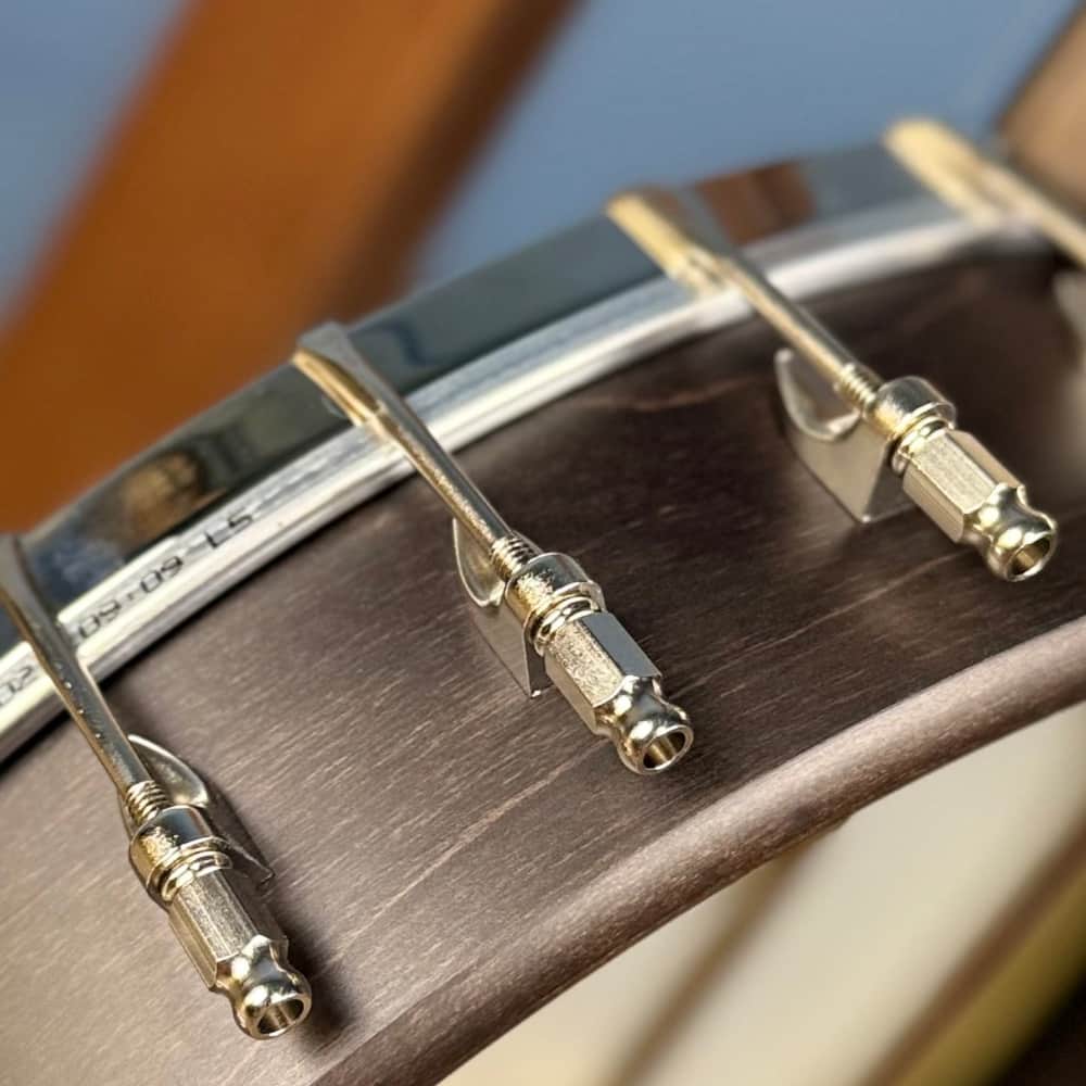 The Vega Avett Star Signature Banjo Deering 5 String Banjos