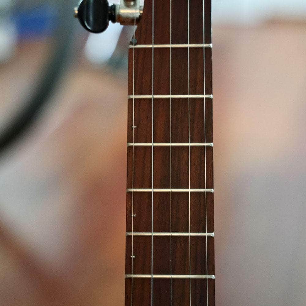 Used Hobart Brainjo 5String Banjo by Cedar Mtn. Banjos Banjo Studio