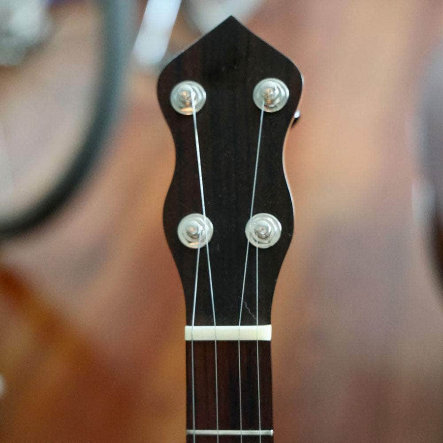 Used Hobart Brainjo 5String Banjo by Cedar Mtn. Banjos Banjo Studio