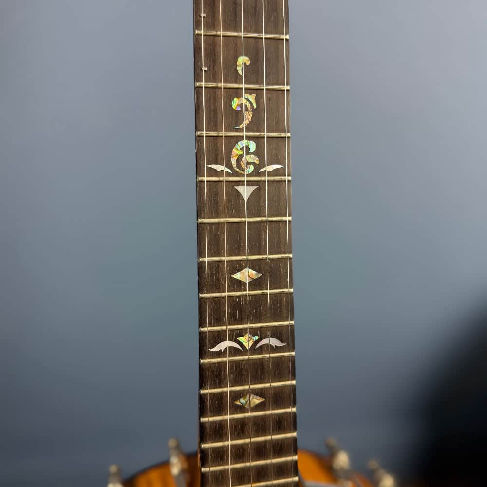 Used Ome Juniper Deluxe Silver Bell Tone Ring 5-string Openback Banjo Banjo Studio