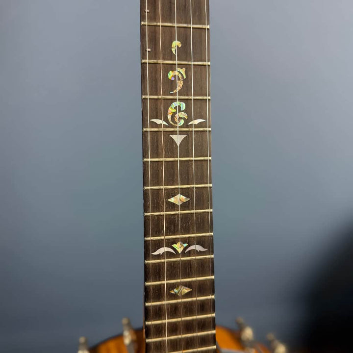 Used Ome Juniper Deluxe Silver Bell Tone Ring 5-string Openback Banjo Banjo Studio