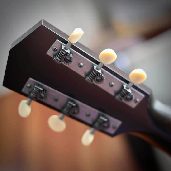 Waterloo WL-14 X Boot Burst with Custom Small Neck Option Collings Guitars