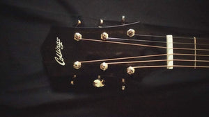 Collings C100 Collings Guitars