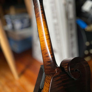 Collings MF Mandolin - Gloss Top Collings Mandolins