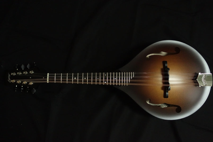 Collings MT Mandolin Collings Mandolins