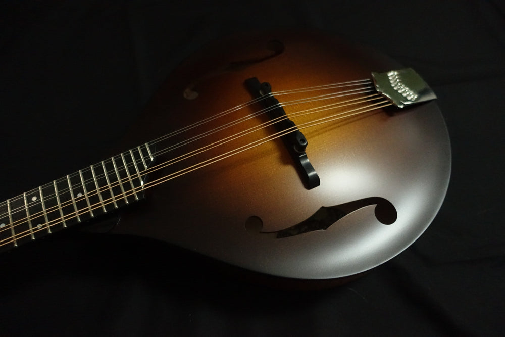 Collings MT Mandolin Collings Mandolins