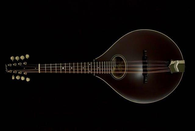 Collings MT O Mandolin Collings Mandolins