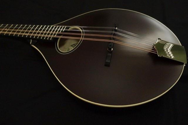 Collings MT O Mandolin Collings Mandolins