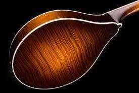 Collings MT2 Mandolin Collings Mandolins