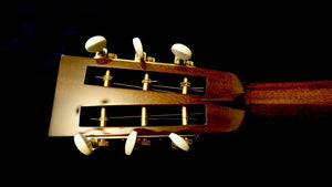 Collings Parlor 2H T Collings Guitars