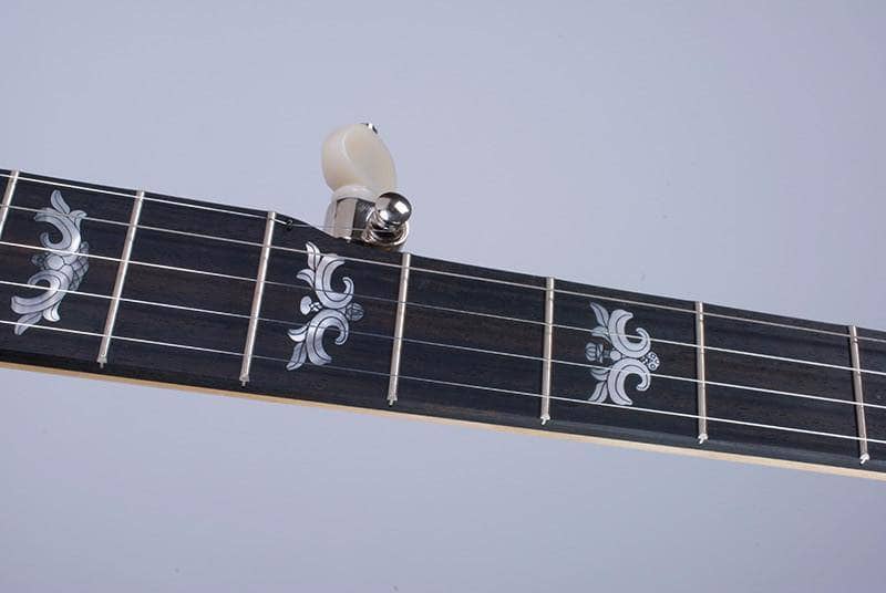 Custom Deering Eagle II 5-String Banjo with Linseed Oil Finish Deering 5 String Banjos