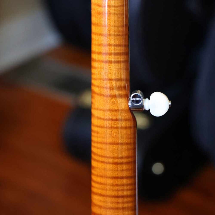Deering Calico 5-String Banjo Deering Banjo Company 5 String Banjos