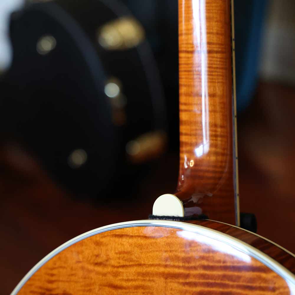 Deering Calico 5-String Banjo Deering Banjo Company 5 String Banjos