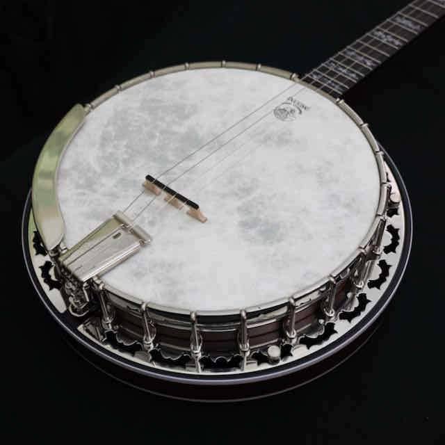 Deering Eagle II 19-Fret Tenor Banjo with Fiberskyn Head Deering 4 String Banjos