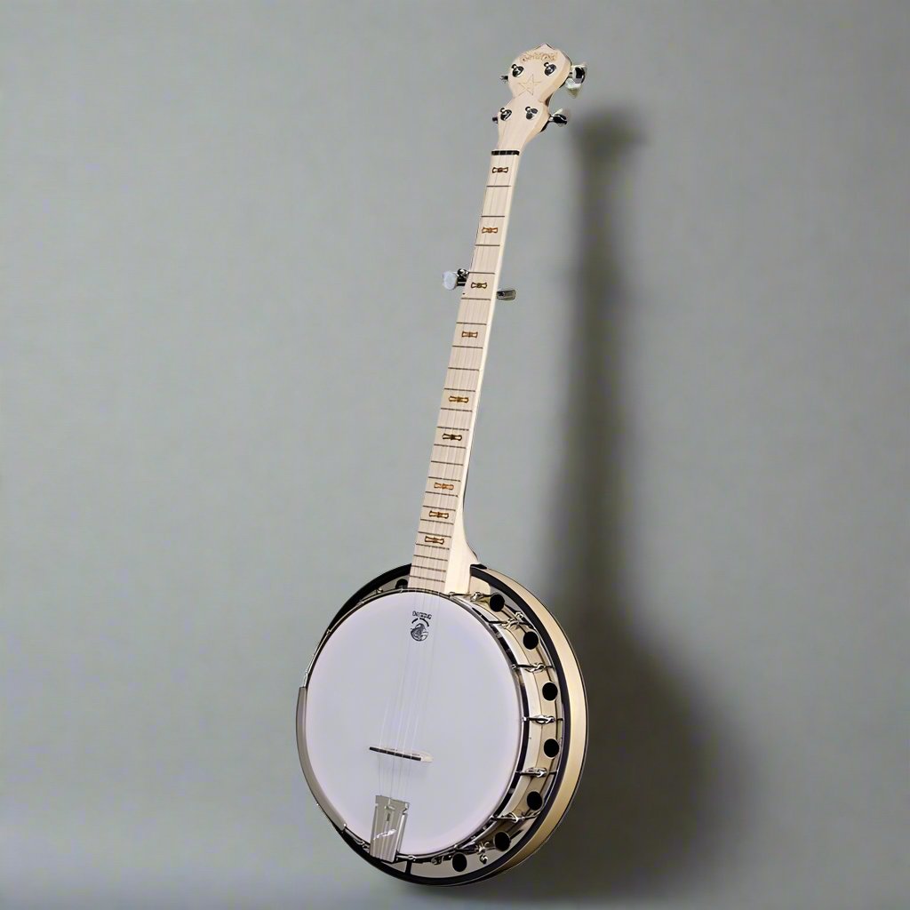 Deering Goodtime Two Banjo The Best Beginner Bluegrass Banjo Banjo