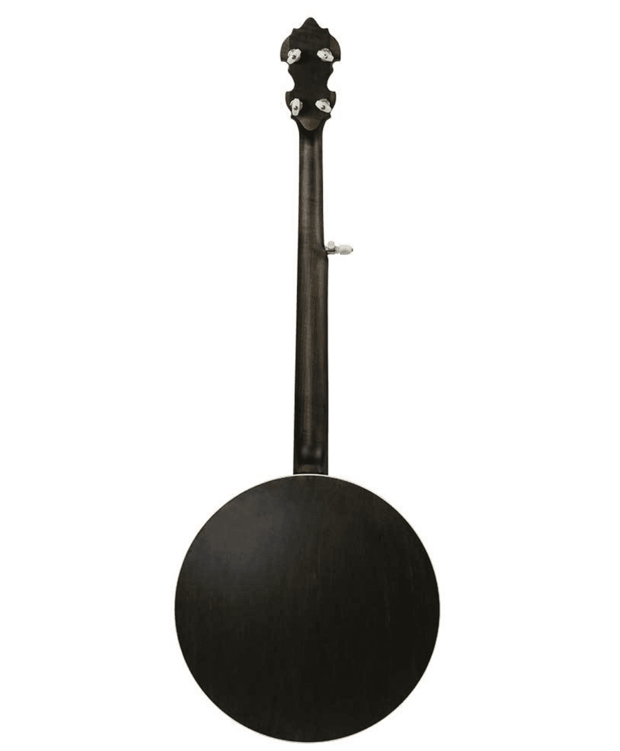 Deering Rustic Wreath 5 String Banjo – Banjo Studio