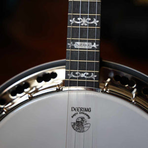 Deering Sierra Plectrum Banjo Deering 4 String Banjos