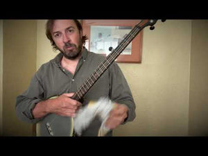 Vega Vintage Star Banjo