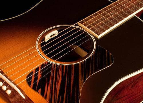 LR Baggs Anthem SL Acoustic guitar Pickup Banjo Studio