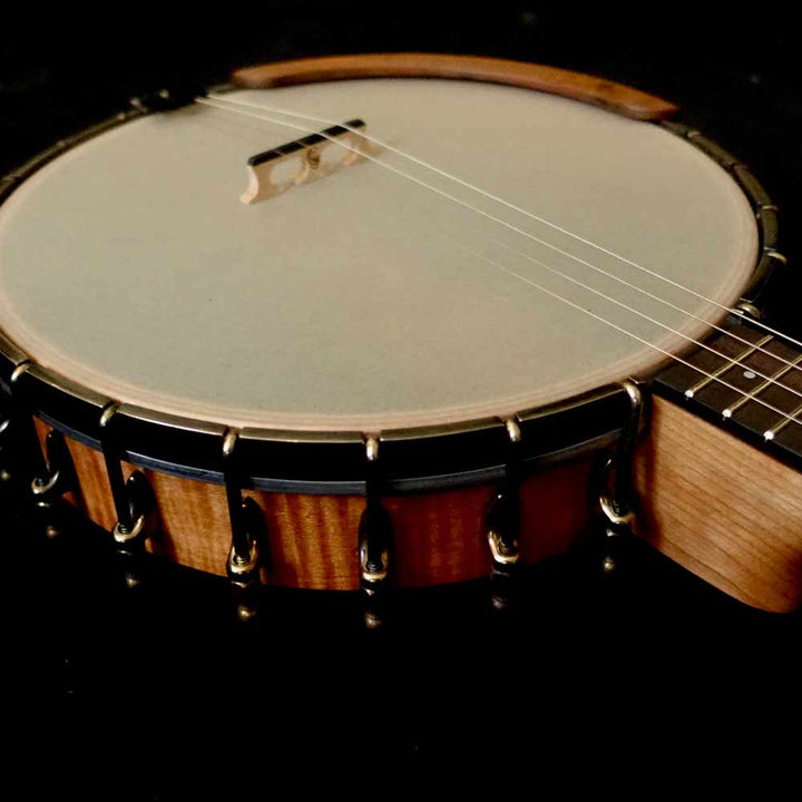 Ode Tenor Banjo - 11" openback Ome Banjos 4 String Banjos