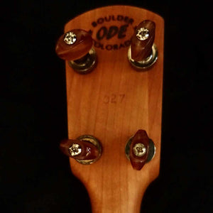 Ode Tenor Banjo - 11" openback Ome Banjos 4 String Banjos