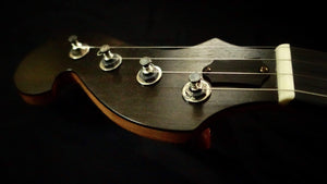 Ome Minstrel 5-String Banjo Ome Banjos Banjos