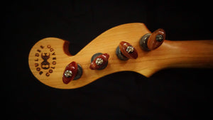 Ome Minstrel 5-String Banjo Ome Banjos Banjos