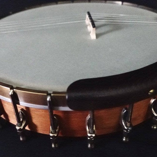 Ome Otis Taylor 5 String Openback Banjo Banjo Studio