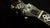 Ome Trilogy 5 String Openback Banjo Ome Banjos 5 String Banjos