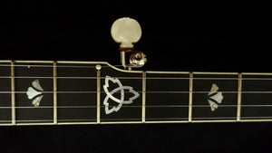 Ome Trilogy 5 String Openback Banjo Ome Banjos 5 String Banjos