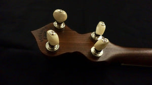 Ome Trilogy 5 String Openback Banjo Ome Banjos 5 String Banjos