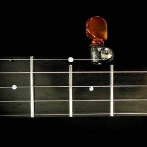 Ome Tupelo 5-String Banjo Ome Banjos Banjos