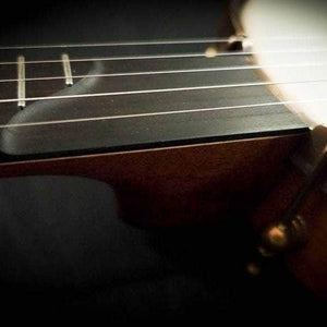 Ome Tupelo 5-String Banjo Ome Banjos Banjos