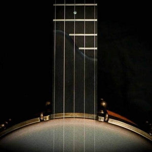 Ome Tupelo 5-String Banjo Ome Banjos Banjos