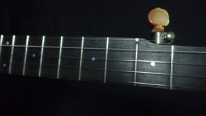 Ome Wizard 5 String Banjo Ome Banjos 5 String Banjos