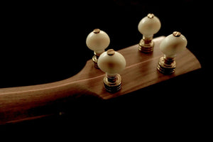 Pisgah Dobson Openback 5-String Banjo Pisgah 5 String Banjos