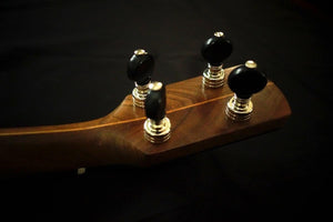 Pisgah Walnut Rambler Dobson A-Scale Banjo Pisgah 5 String Banjos