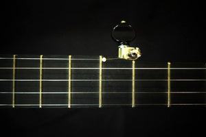 Pisgah Walnut Rambler Dobson A-Scale Banjo Pisgah 5 String Banjos
