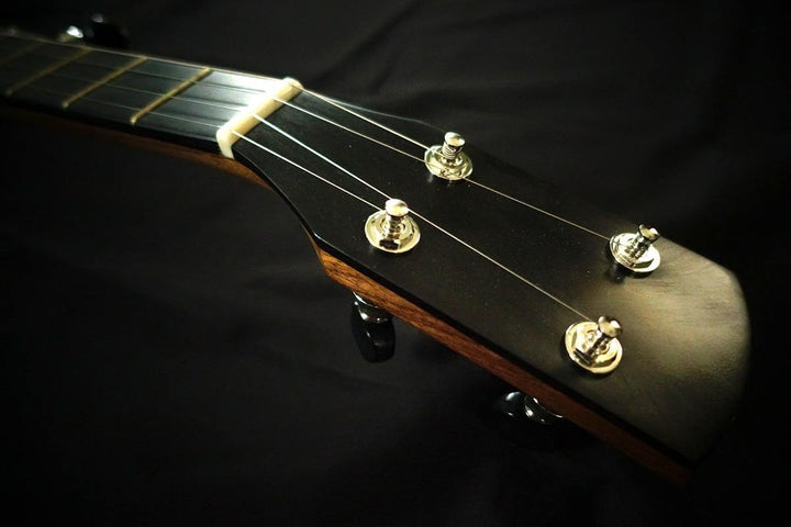 Pisgah Walnut Rambler Dobson A-Scale Banjo with Antique Brass Hardware Pisgah 5 String Banjos