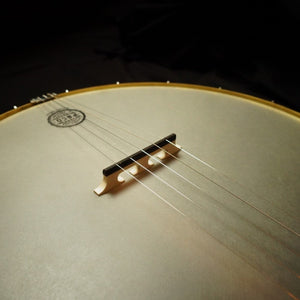 Pisgah Woodchuck 5-String Banjo Pisgah 5 String Banjos